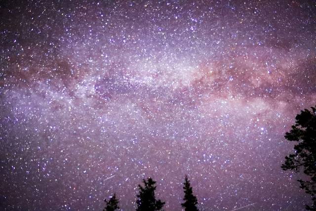 The Milky Way crosses a clear night sky above dark pines.
