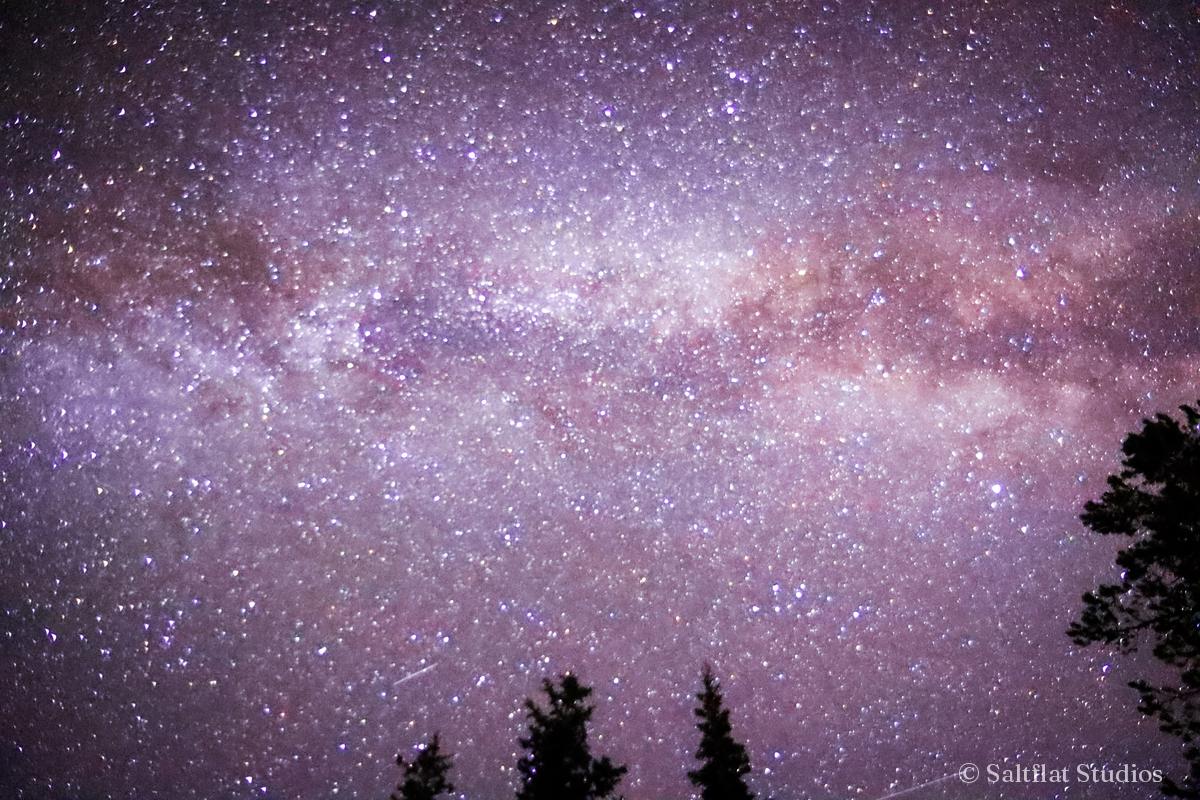 The Milky Way crosses a clear night sky above dark pines.